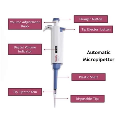 pipetting Quizlet